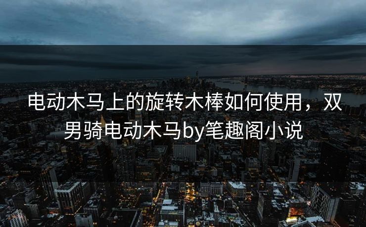 电动木马上的旋转木棒如何使用，双男骑电动木马by笔趣阁小说