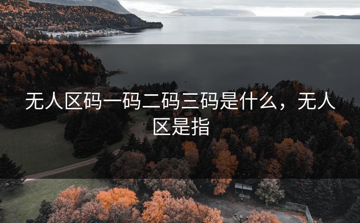 无人区码一码二码三码是什么，无人区是指